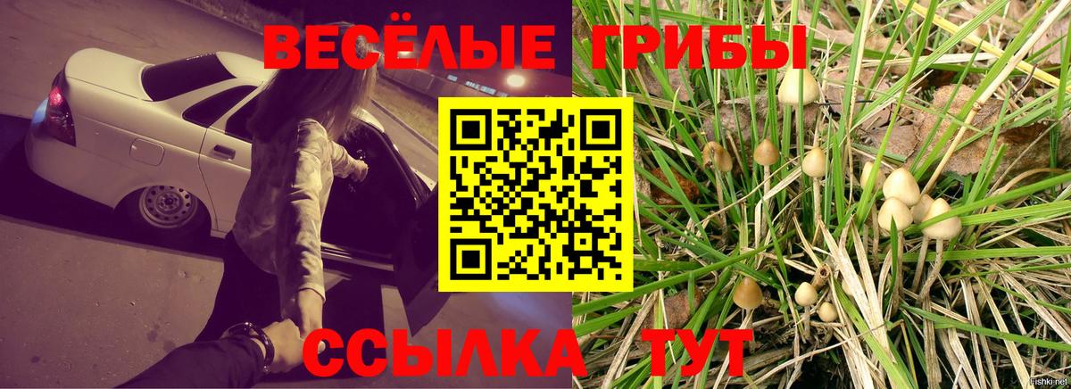 Галлюциногенные грибы прущие грибы Реж